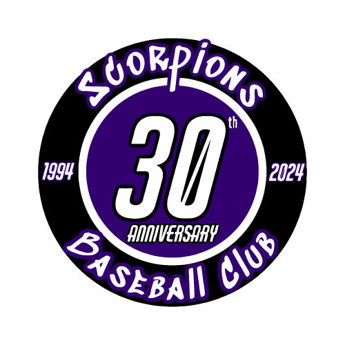 6 Inch Car Magnet